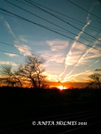 Winter Sunset, So. NJ