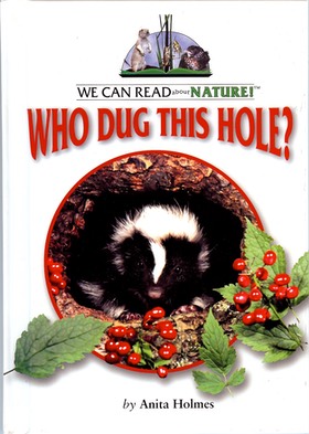 Who Dug This Hole? cover